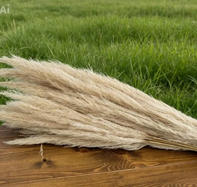 bouquet de pampa